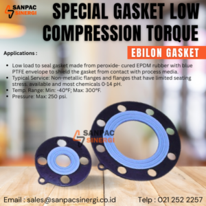 Special Gasket Low - Compression Torque - Ebilon Gasket