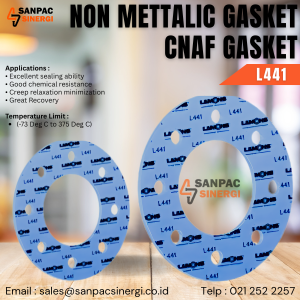 NON METTALIC GASKET CNAF L441