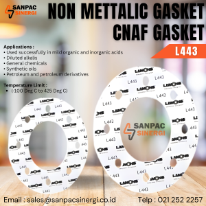 NON METTALIC GASKET CNAF L443