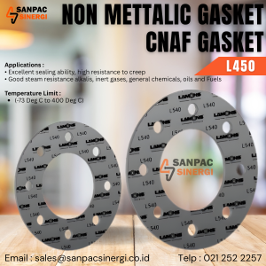 NON METTALIC GASKET CNAF L450