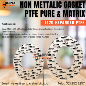 NON METTALIC GASKET L120 EXPANDED